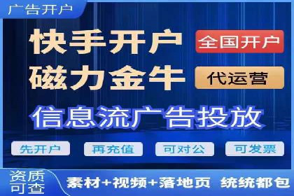SEO与百度推广结合的营销策略——经典案例解析